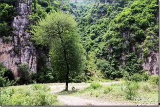 青山依旧,探寻岁月变迁中的自然之美