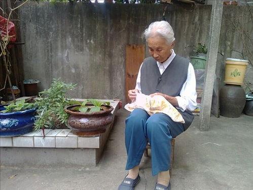 大力老太穿书后，掌家护女