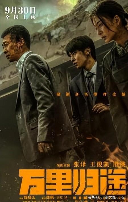 万里归途（TC版）,跨国冒险与家国情怀的史诗之旅