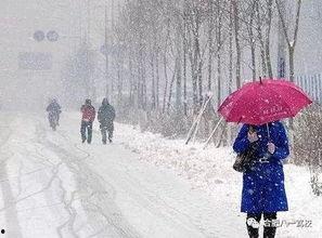 雪来临的时候相爱,一段冬日恋曲的浪漫启程