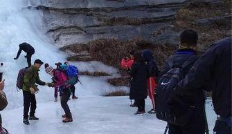 穿越深山我怎么就成山神了,我竟变身神秘山神