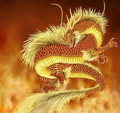 龙崽崽三岁半新年送福到