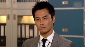 法证先锋2 普通话,破解迷雾，正义之光